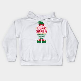 Dear Santa I Can Explain Funny Christmas Pajama Adults Kids Kids Hoodie